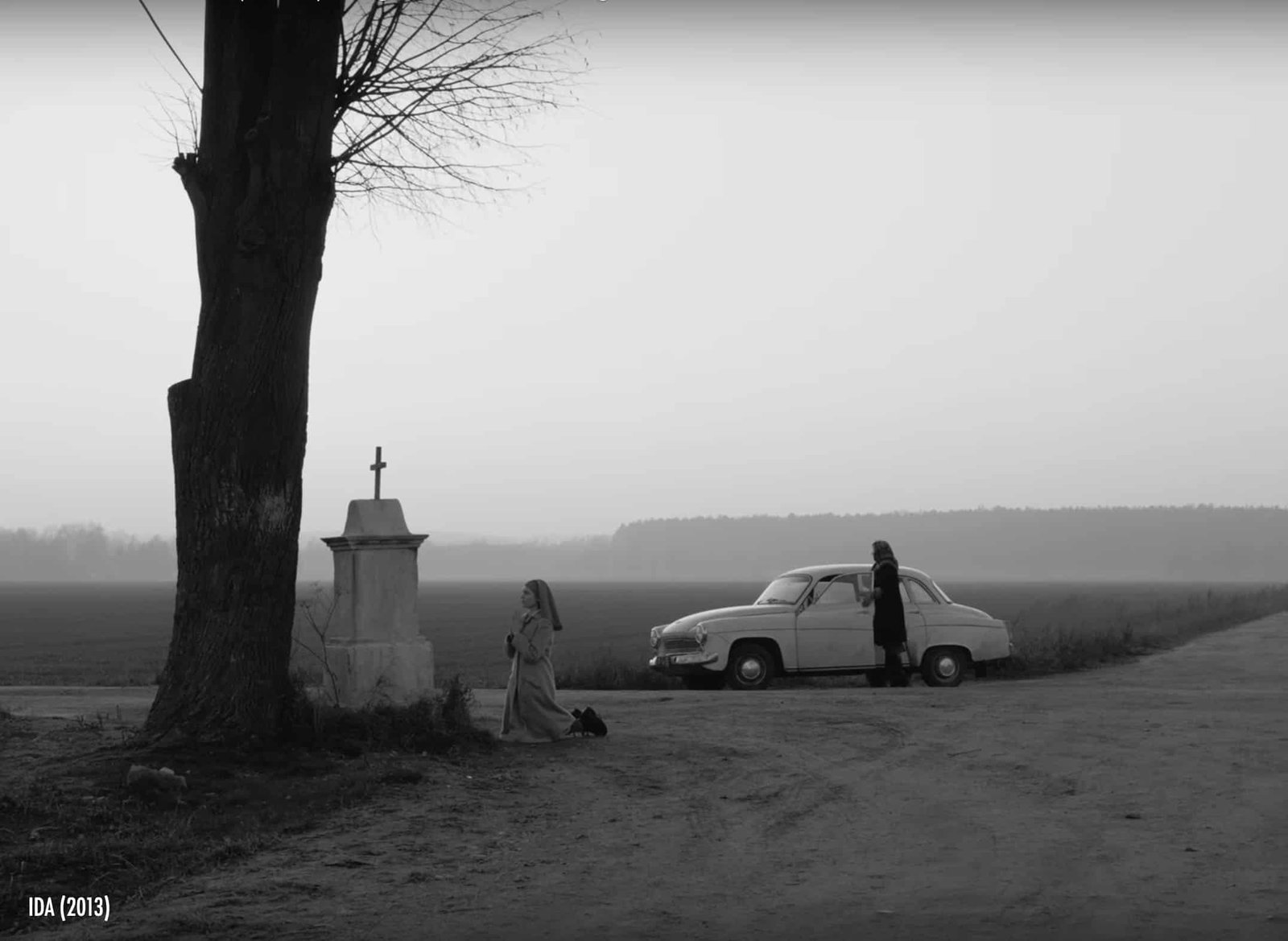 Ida (2013)