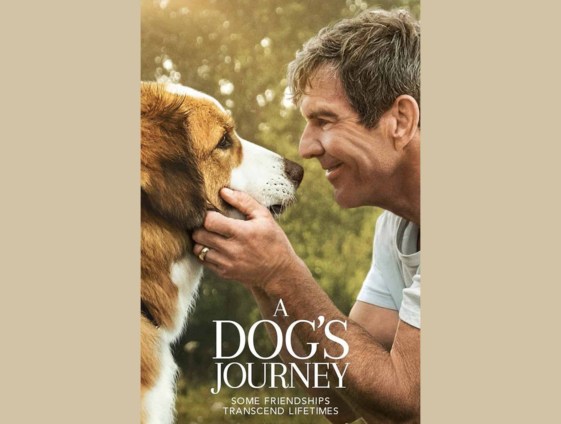 A Dogs Journey 2019 By Gail Mancuso