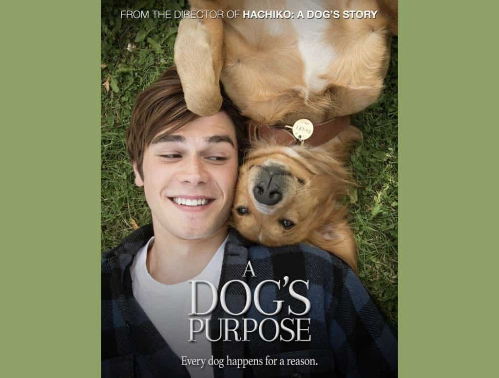 A Dogs Purpose 2017 By Lasse Hallstrom