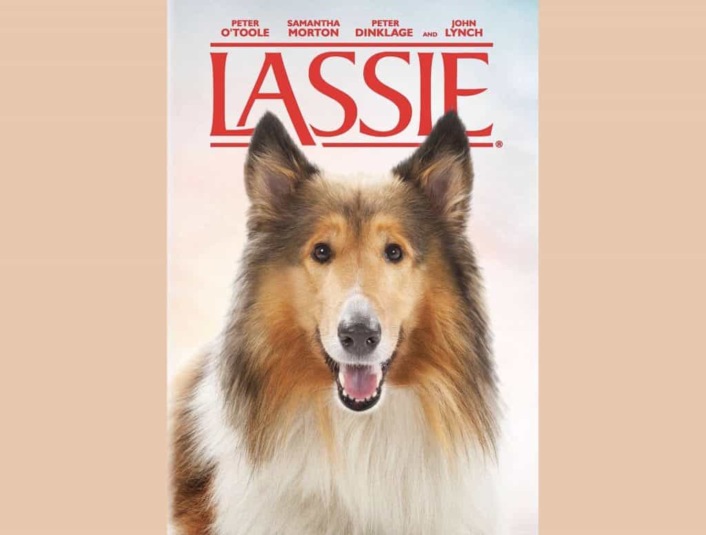 Lassie 2005 By Charles Sturridge