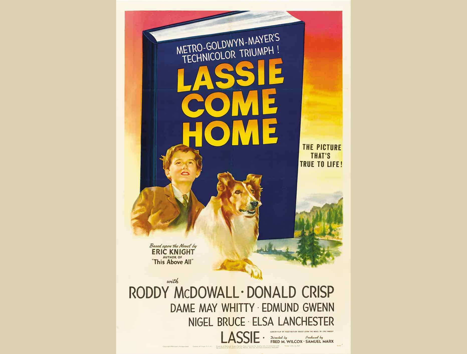 Lassie Come Home 1943 By Fred M. Wilcox