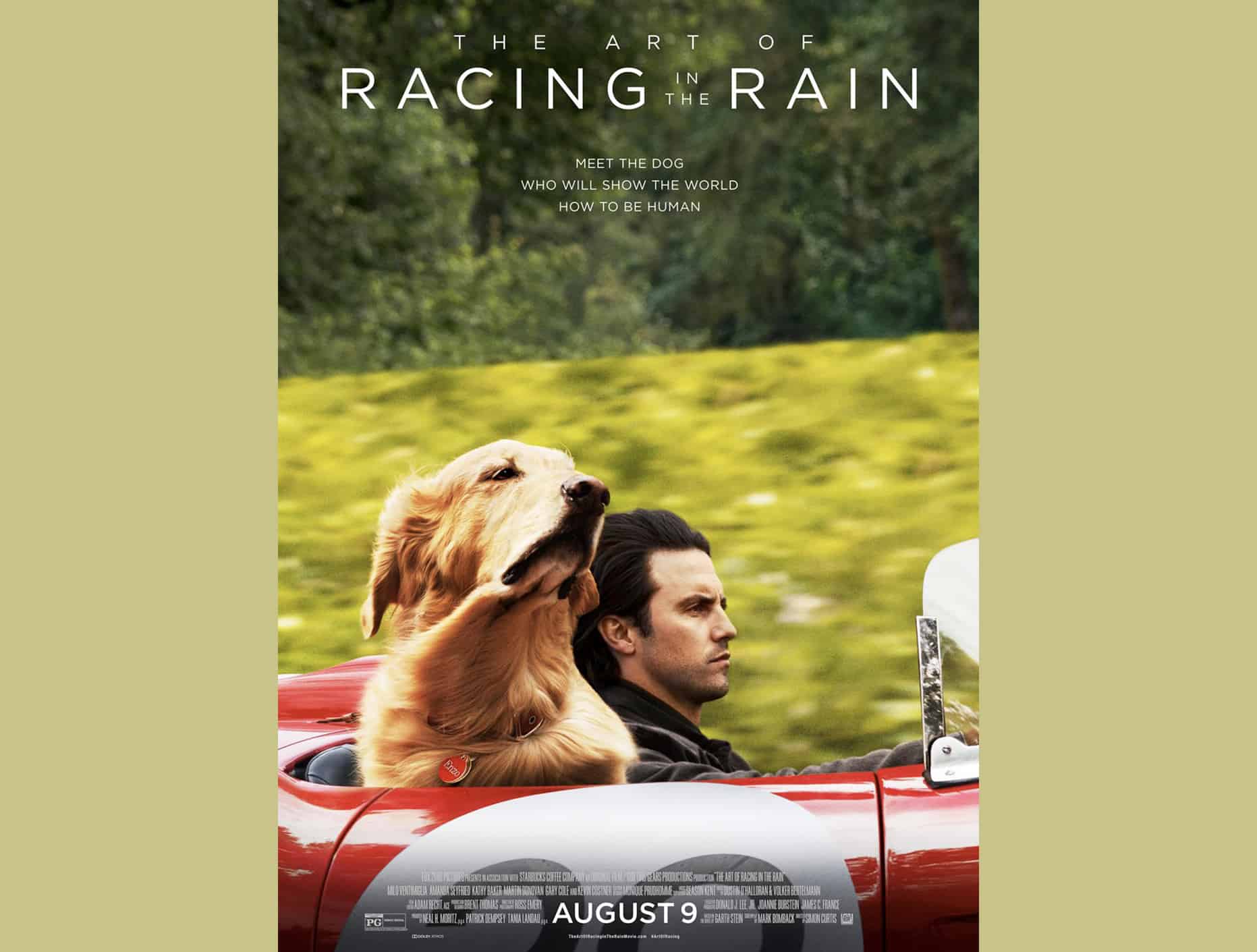 The Art Of Racing In The Rain 2019 By Simon Curtis